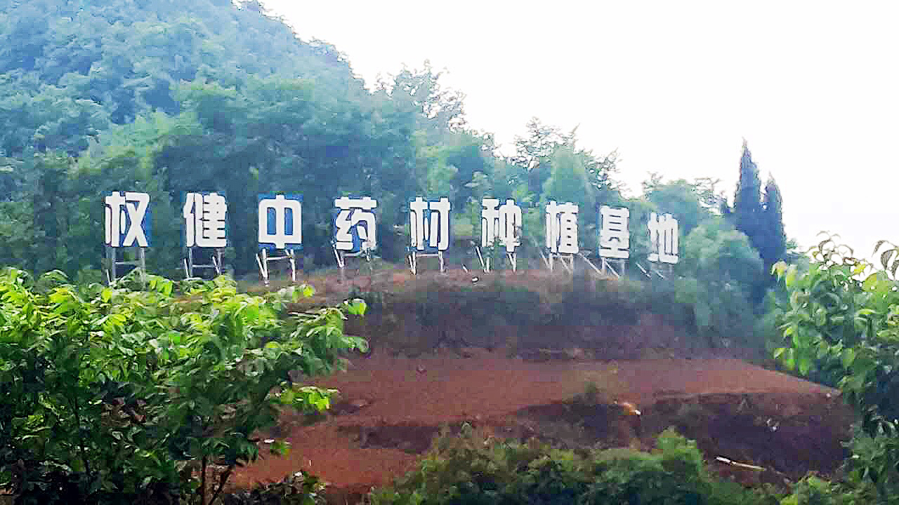 权健自然医学加快推进药材基地建设提升药材品质