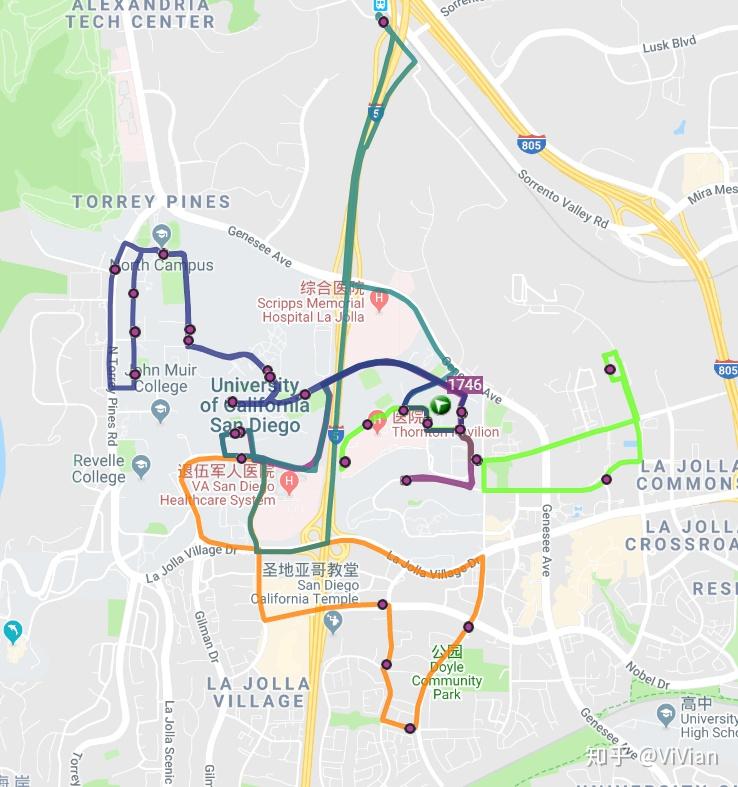 加州大学圣迭戈分校ucsd