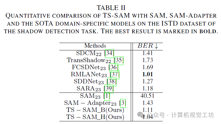 SAM已經Out了！TS-SAM：適應下游任務的分割一切！