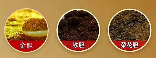 朝鲜熊胆粉真假图片