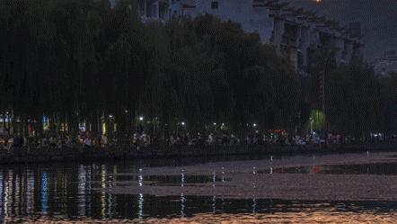 动图封面