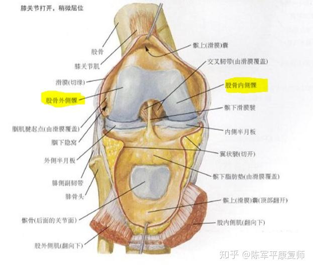 康復152往膝關節腔內注射玻璃酸鈉能解決膝關節疼痛嗎