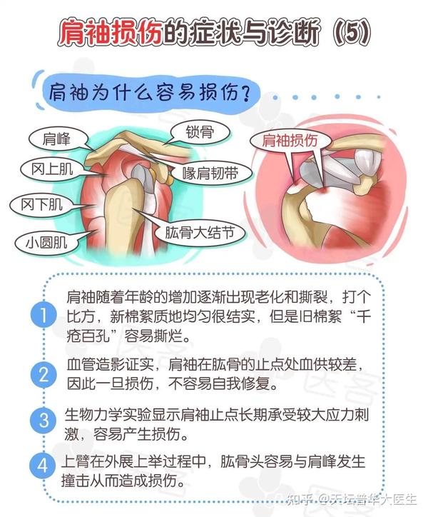 好孩子集团招聘