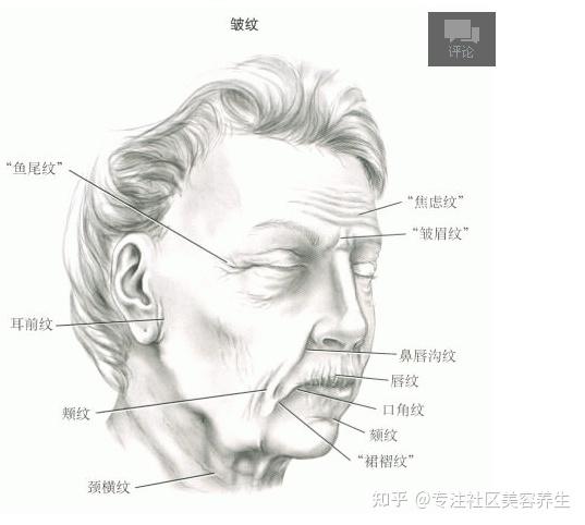 解读面部皱纹 - 知乎