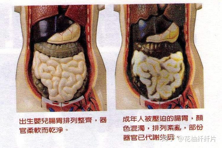 花柚纖纖片帶你瞭解宿便在人體內對身體的危害