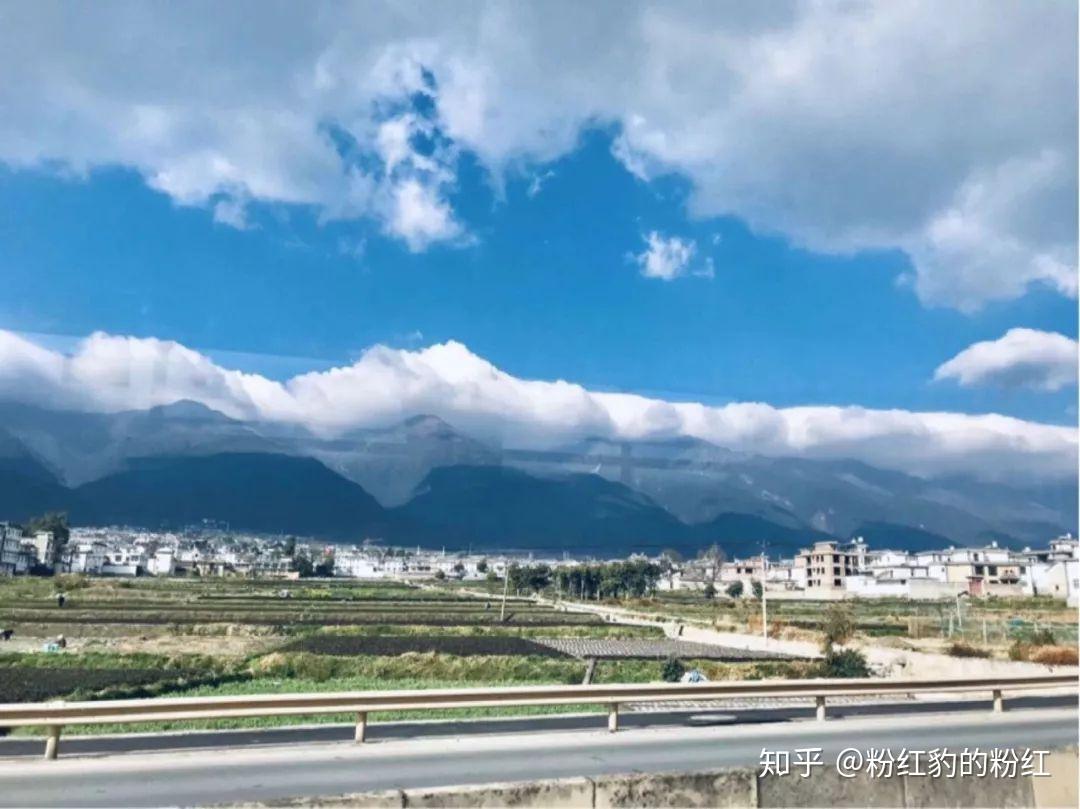 大学休学一年是什么概念?