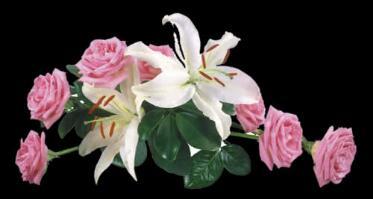 如何注册一家演艺经纪公司?