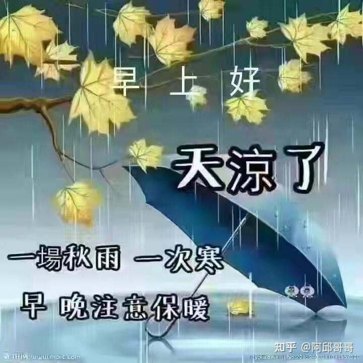 秋雨中的问候带字图片图片