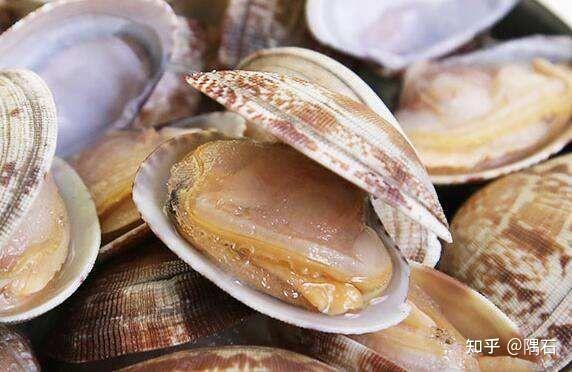 软体动物【mollusk】:柔软的身体,表面有外套膜,大多具有贝壳,运动