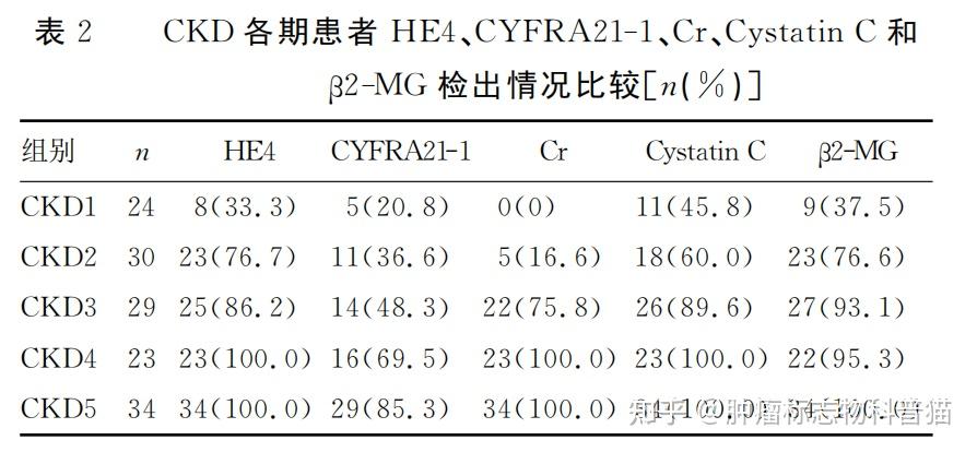 细胞角质蛋白19片段图片