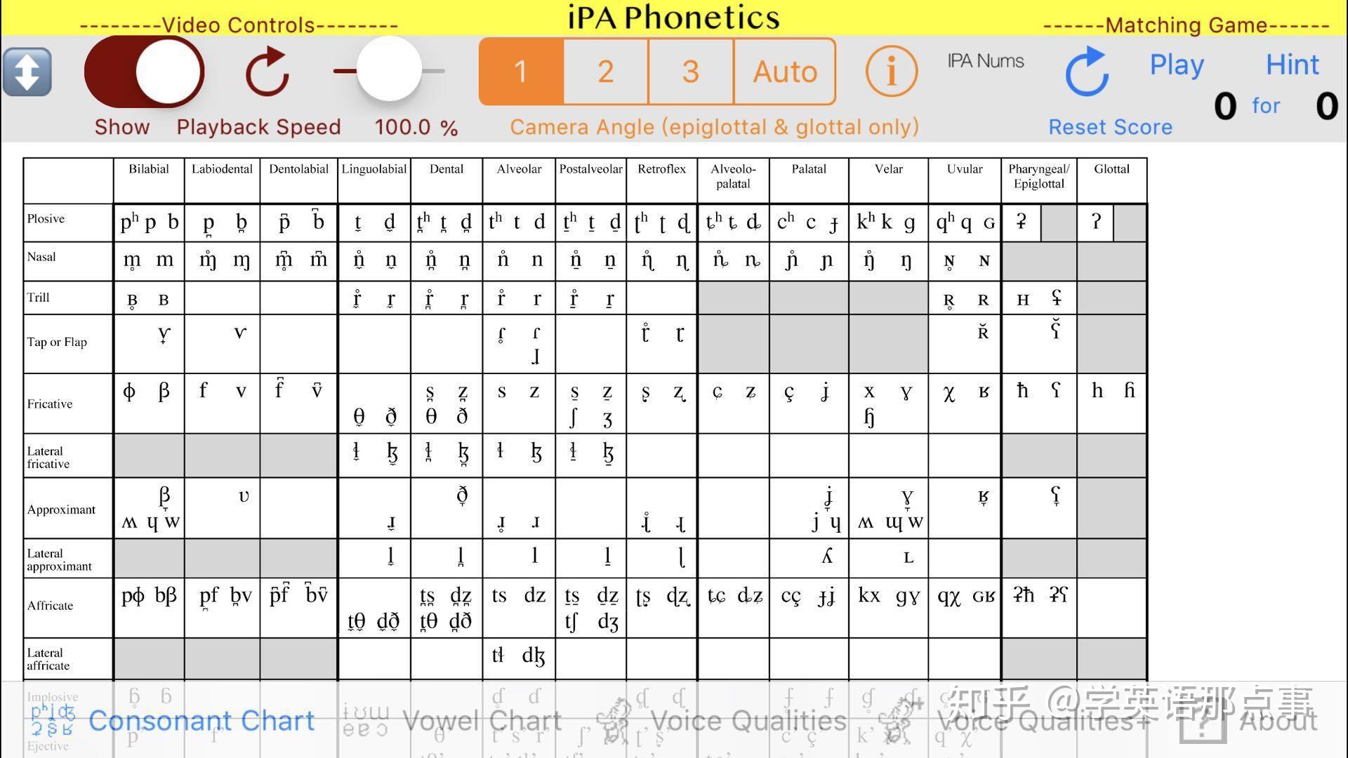 ipa phonetics
