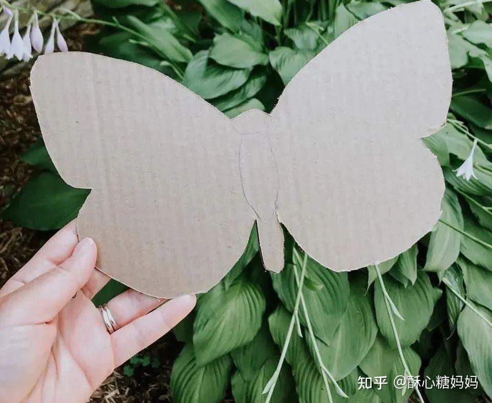 1,花朵纸箱蝴蝶