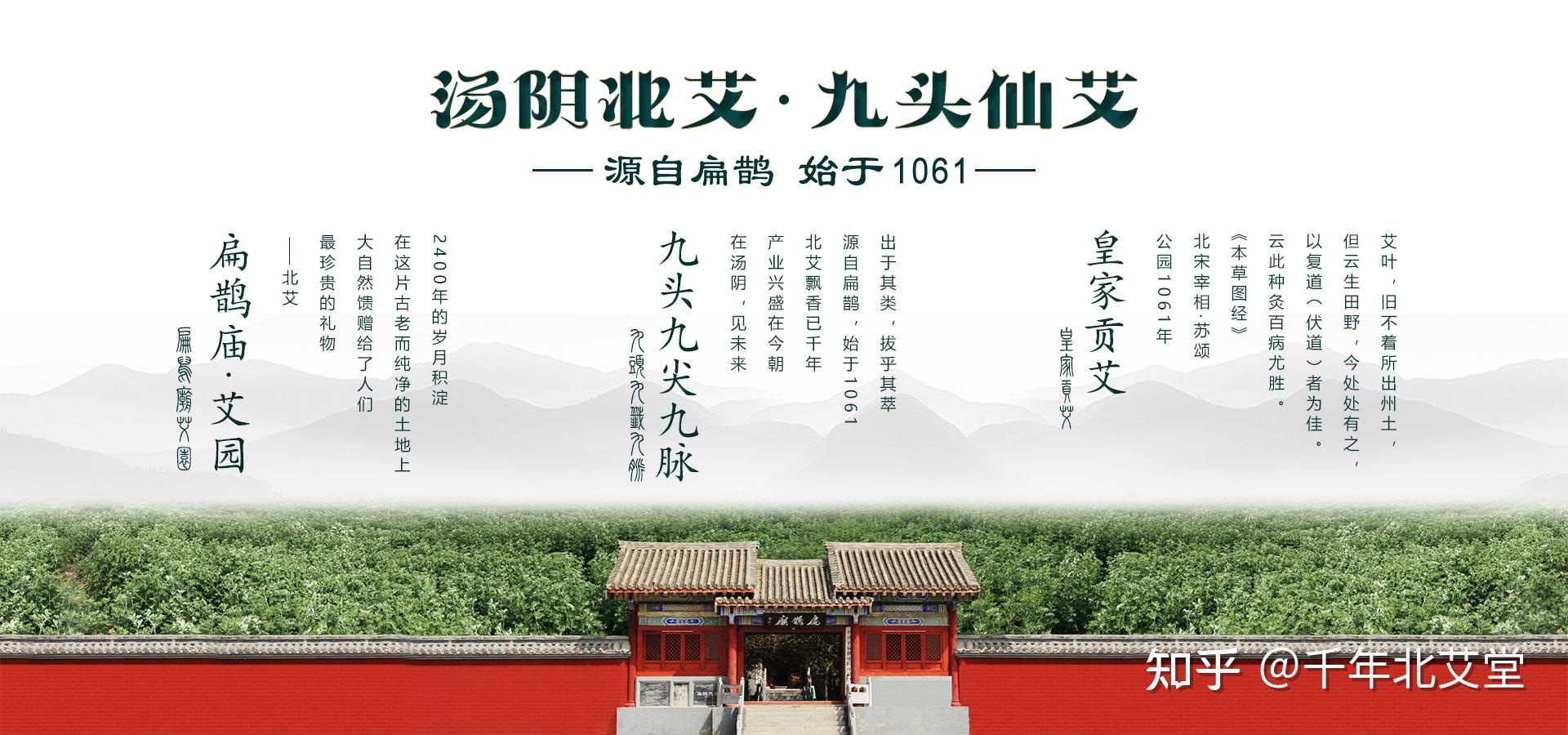 九体透骨灸艾灸加盟九头仙艾千年北艾堂