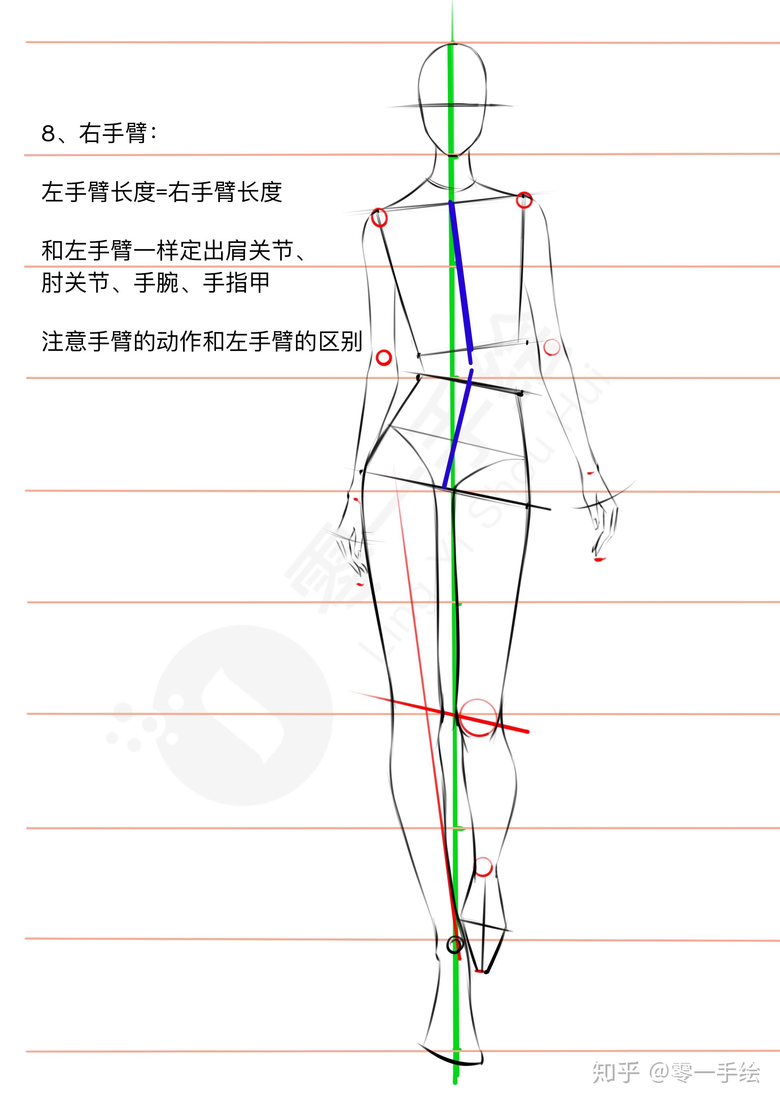 走姿图解图片