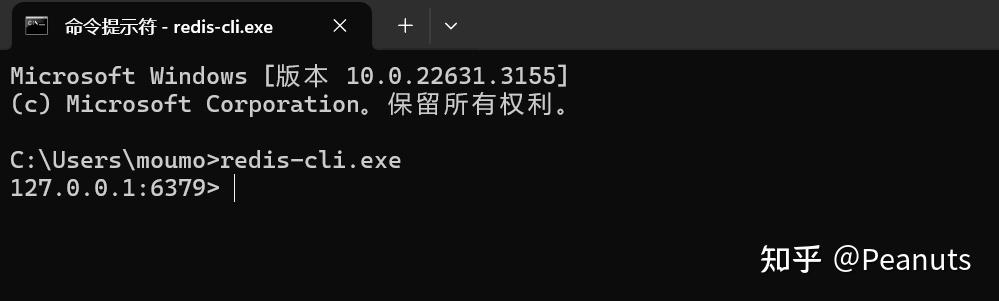 【Redis】试玩01——win11安装与使用 - 知乎