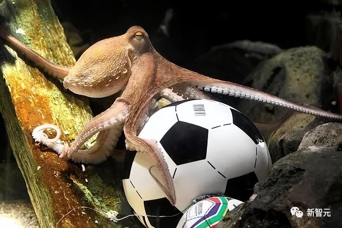 AI模型告诉你，为啥巴西最可能在今年夺冠！曾精准预测前两届冠军- 知乎