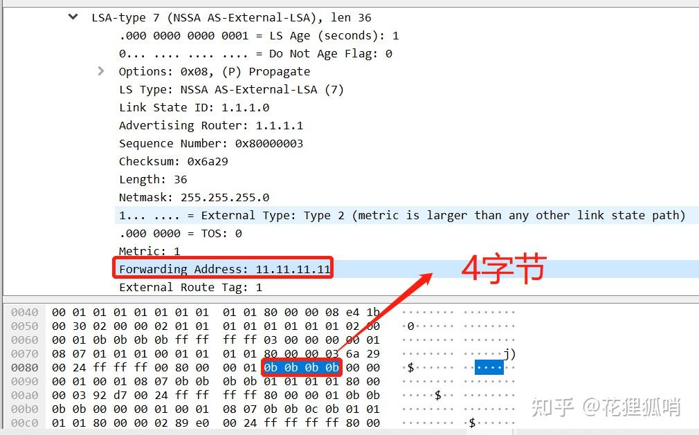 OSPF LSA报文格式总结 - 知乎