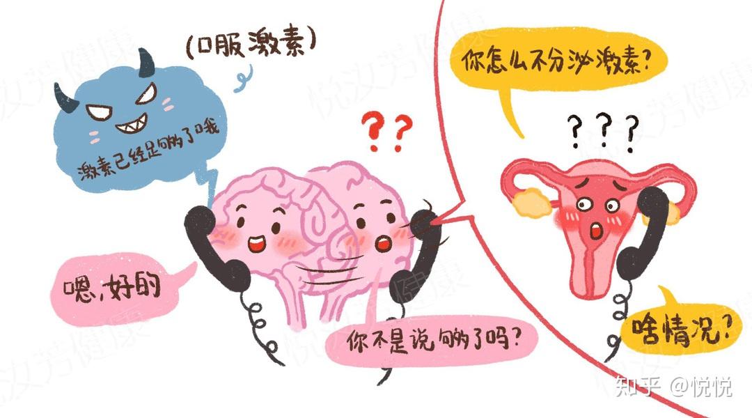 【科普】激素的作用原理