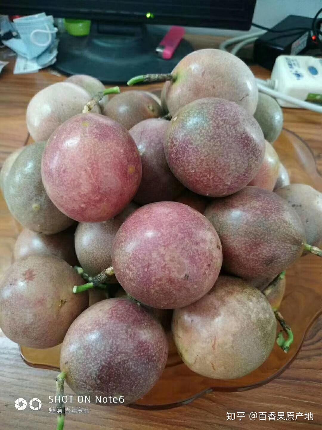 百香果是一年四季都有吗?