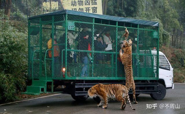 动物开会评价人,连畜生都不如! - 知乎