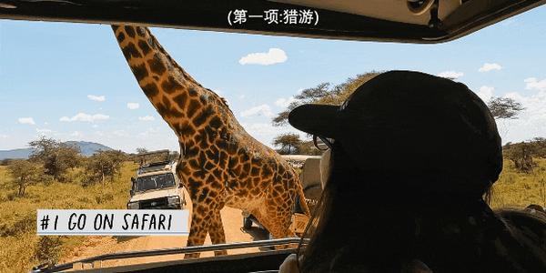 《与世界的最后一眼相遇》奥斯卡获奖团队新作,又暖又虐!