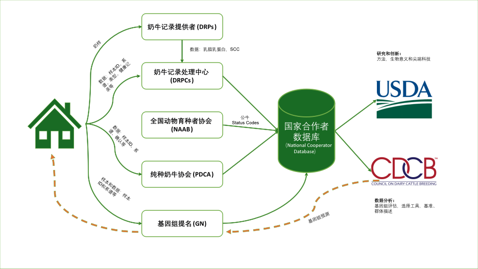 【纽勤干货】CDCB介绍系列二：美国奶牛育种委员会育种体系等内容介绍 - 知乎