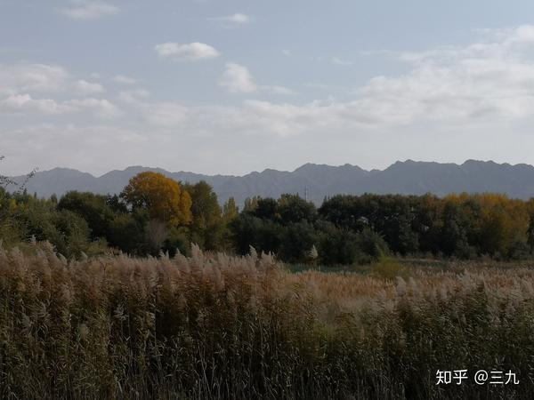 达坂城东沟秋色 - 知乎