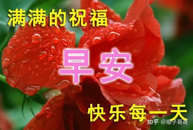 12月4日寒冷冬季最美早上好图片动态的带鲜花