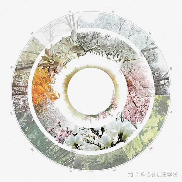 设计留学 | 植物分析与植物表现,都有哪些常见的形式? - 知乎