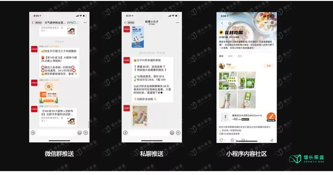 12000字解读元气森林:套利与降维的游戏-元气森林的简介