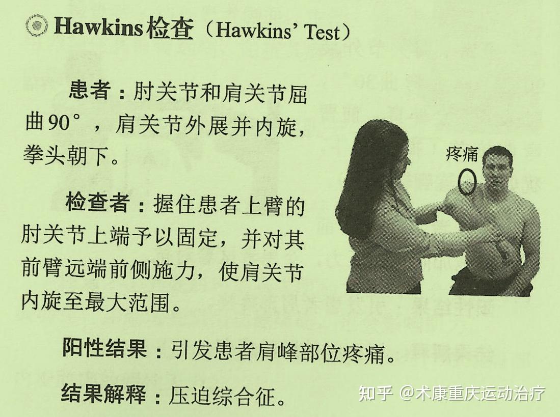 hawkins撞击试验图片