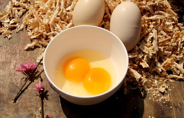 与小型养殖户不同的是,广受消费群体喜爱的"柃蜜蛋