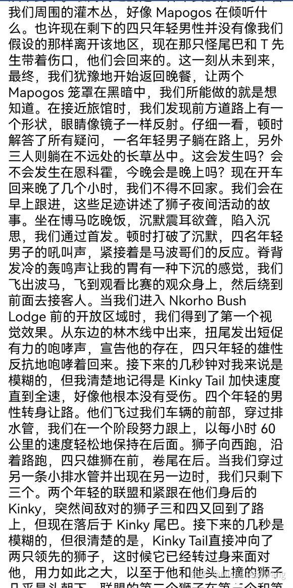 关于坏男孩雄狮联盟的一些旧新闻