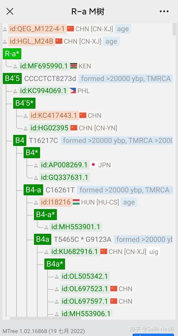 马保晟 B4母系和东亚人群的起源 知乎