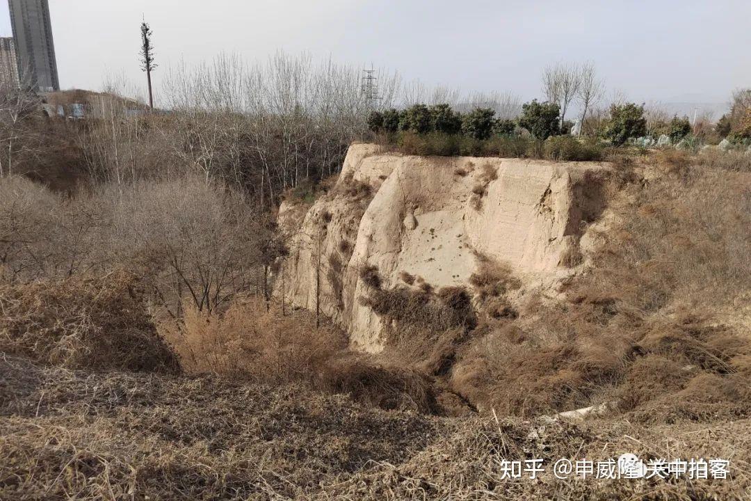 三门峡市:漫步庙底沟考古遗址公园 - 知乎