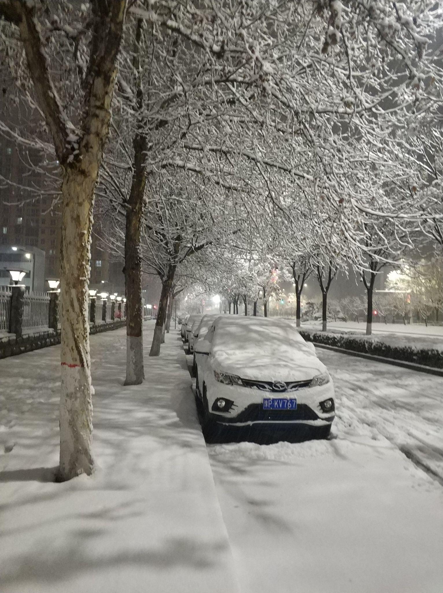 2021第一场雪 - 知乎
