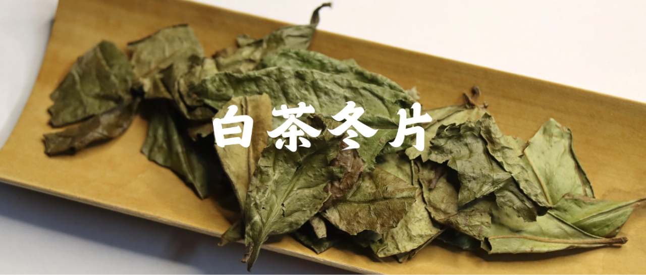 白茶冬片：冬日里的温柔茶语 - 知乎