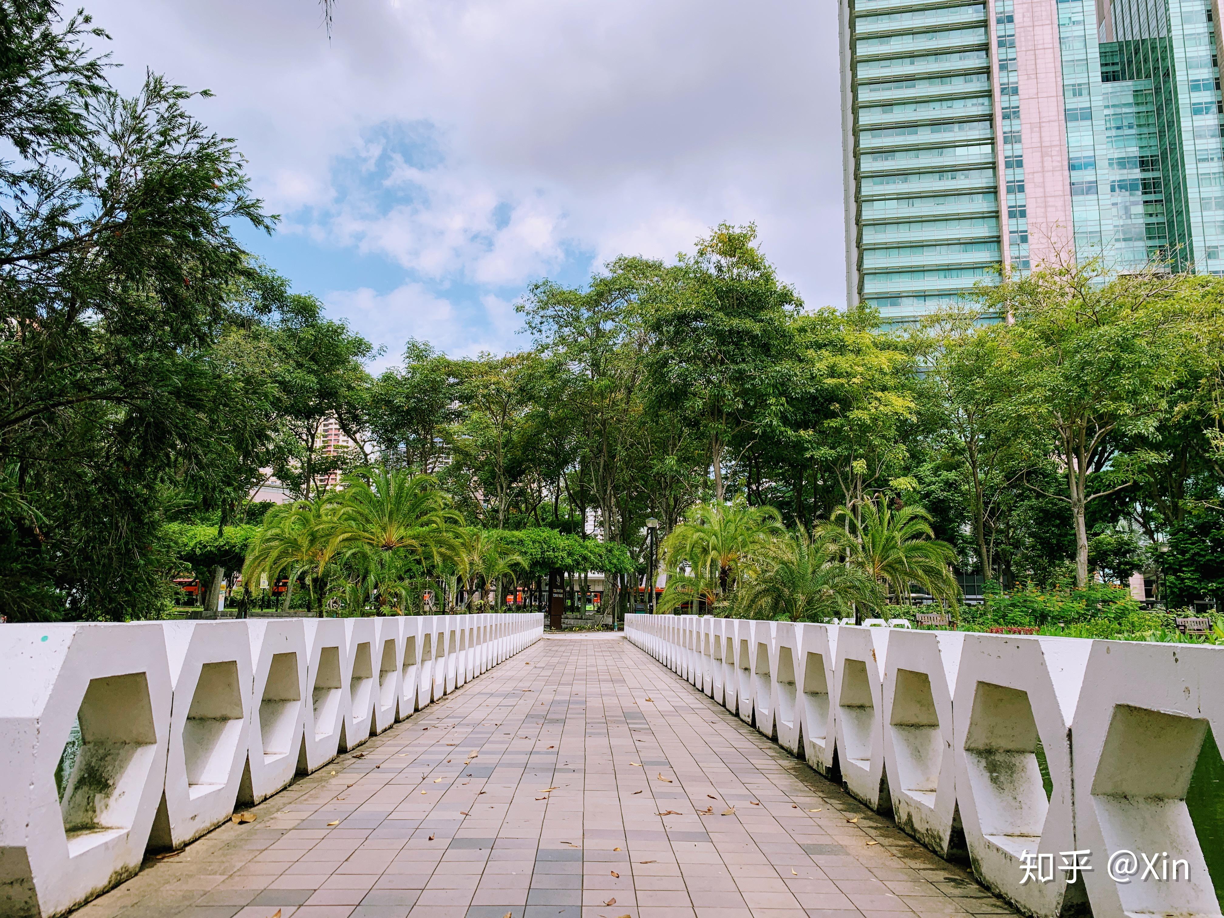 新加坡大巴窑市镇公园 toa payoh town park