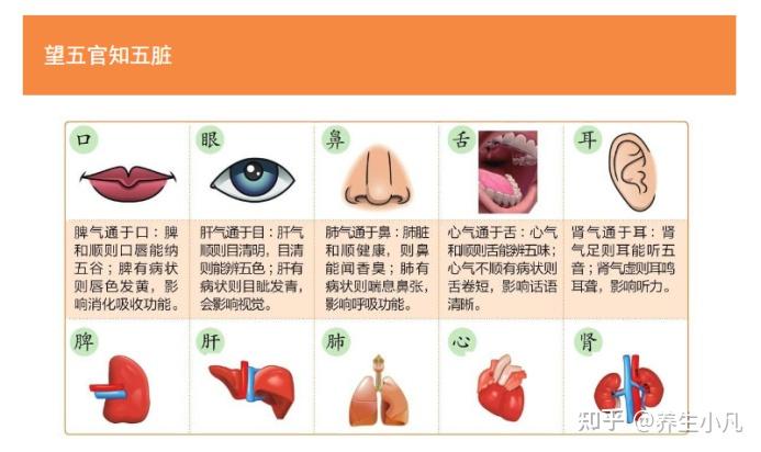 面诊是什么？一篇文章讲透 - 知乎