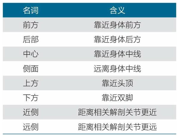 运动生物力学与解剖学：标准解剖学参考术语- 知乎