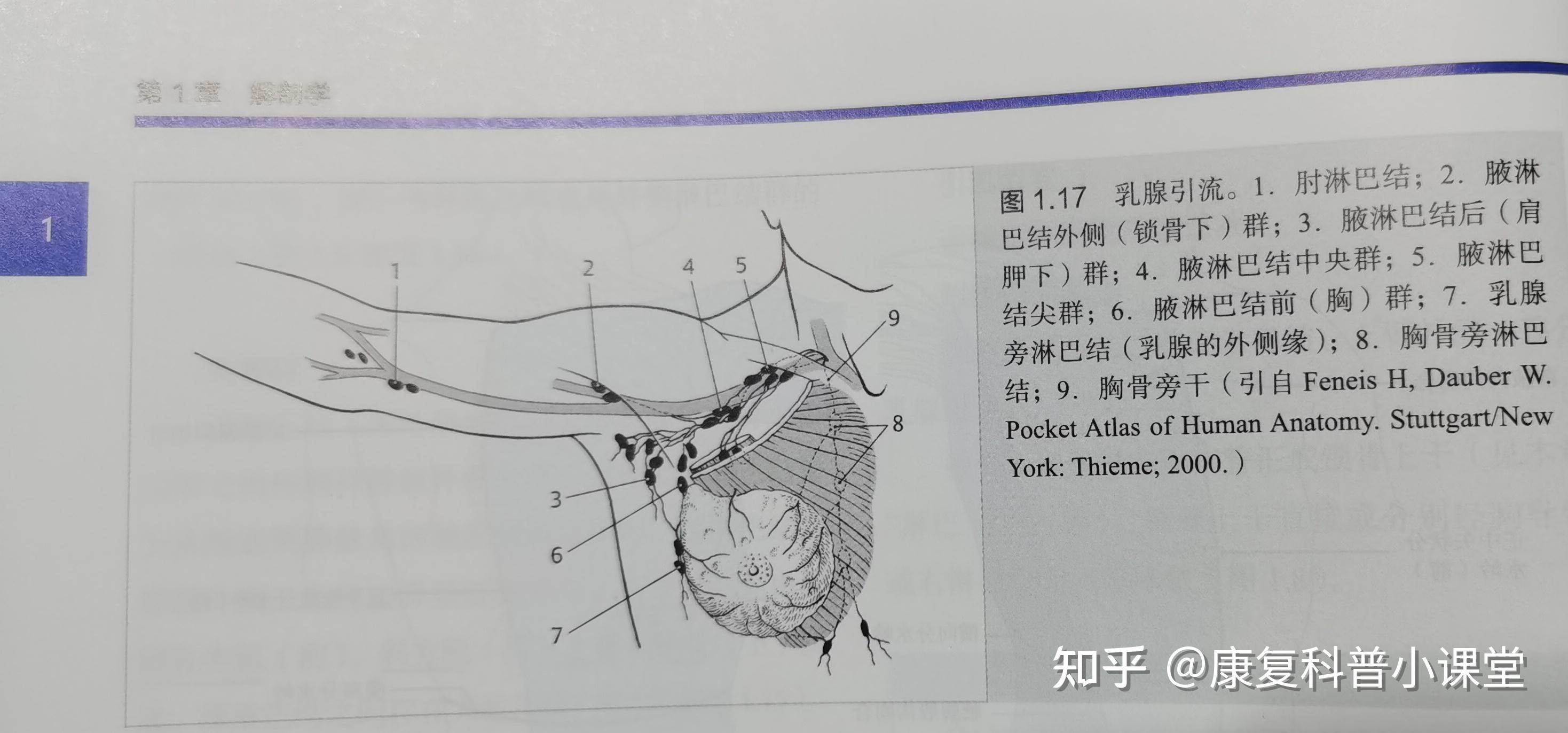 乳腺癌根治術後淋巴水腫的康復