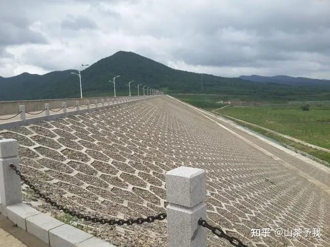 碾压式土石坝坝型