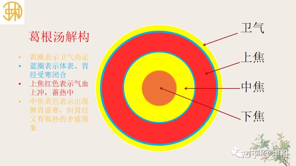 冲和解密葛根汤证 - 知乎