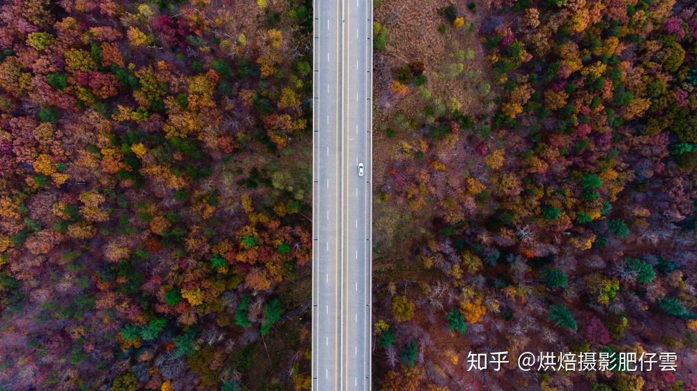 学点构图让照片不再单调