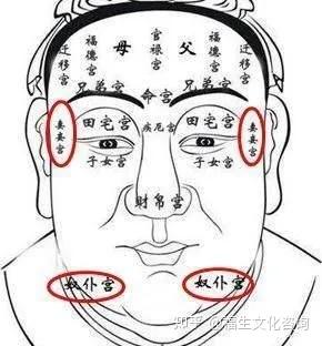 面相十二宫图解,爱好者一定要收藏! - 知乎