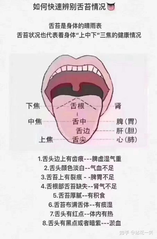 舌苔看本质 - 知乎