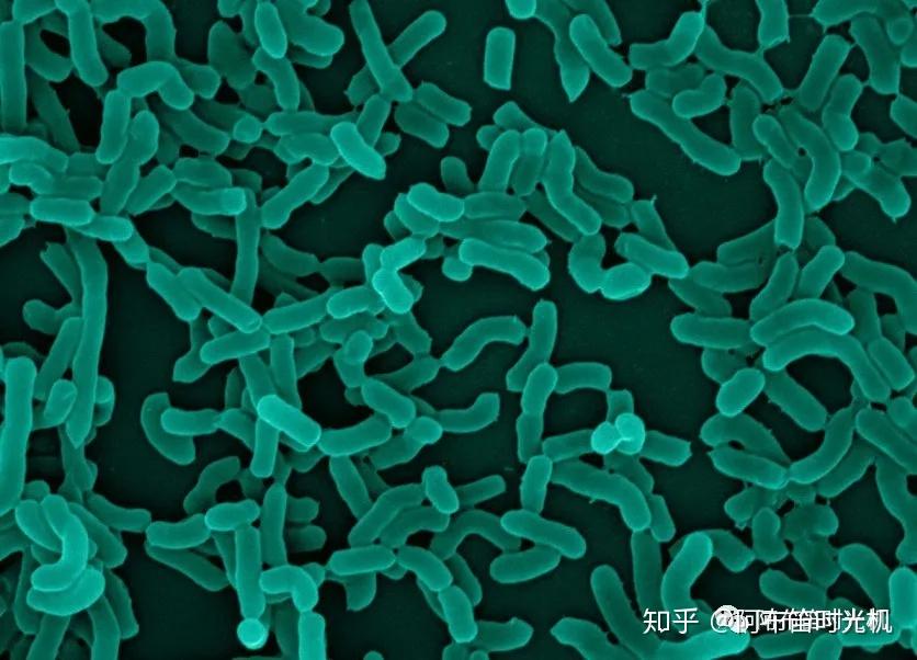 益生菌是活性菌,水温过热,会将它"烫死",死的益生菌就没什么作用了.