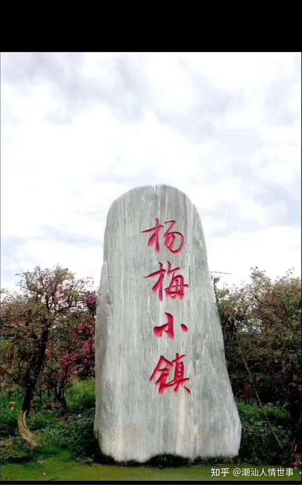 面对农业发展攻坚金灶杨梅小镇农民感谢国家感谢这个时代年轻人