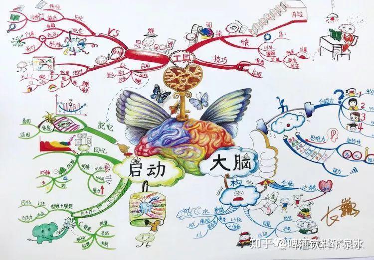 思维导图——大自然的孩子!