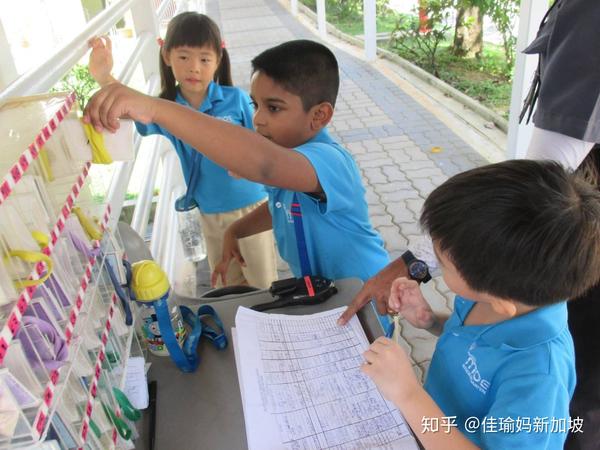 纯干货 宝妈踩点所幼儿园吐血总结新加坡和中国幼儿园9大不同 知乎